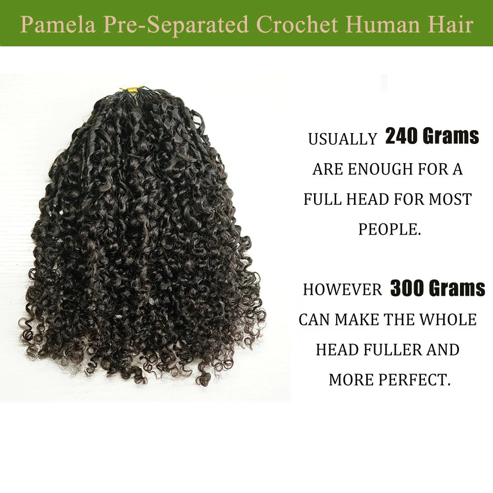Afro Kinky Burmese Curly Crochet Human Hair